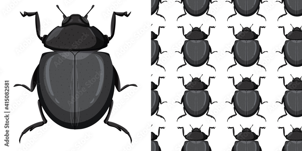 Carabidae insect and seamless background