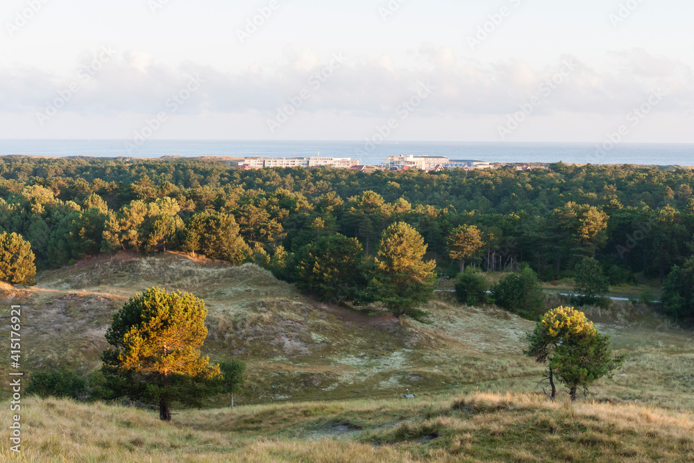 Duinen op Vlieland，维利兰的沙丘