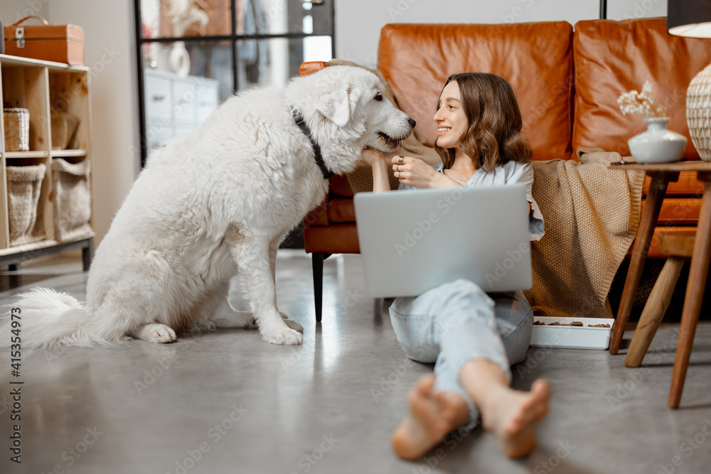 Cheerful woman working in laptop while sitting near sofa at home and playing with white dog. Digital