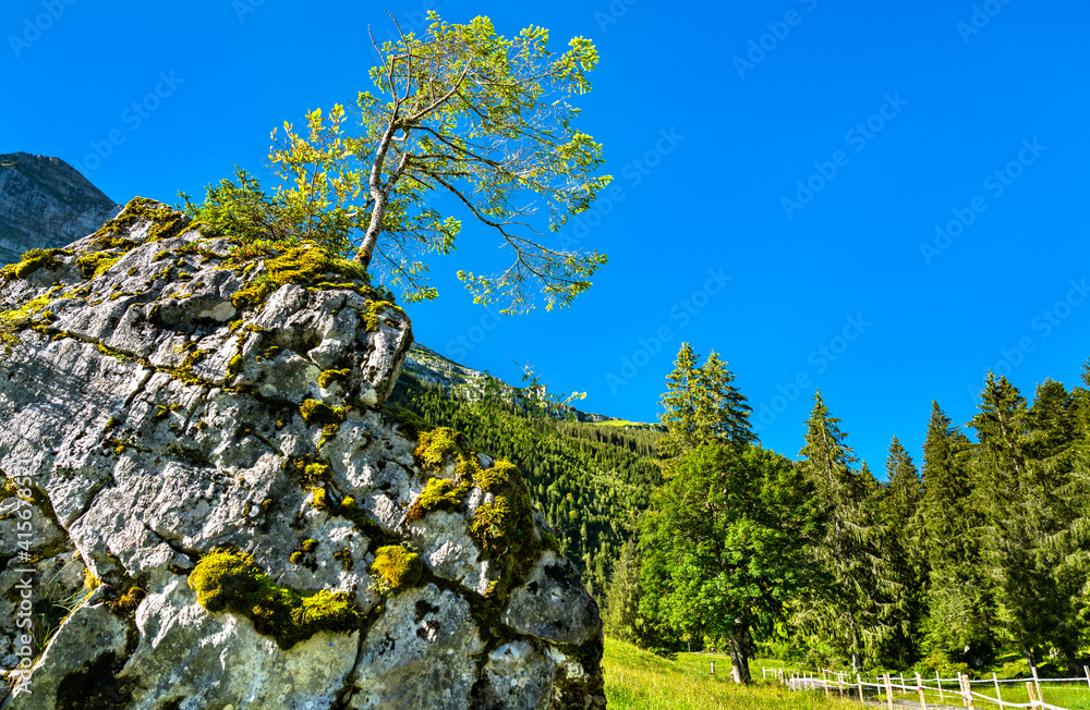 Landscape of the Obersee Valley in the canton of Glarus, Switzerland