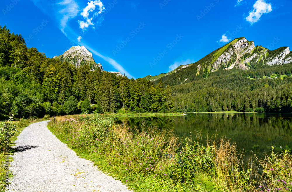 View of Brunnelistock mountain at Obersee lake in the Swiss Alps