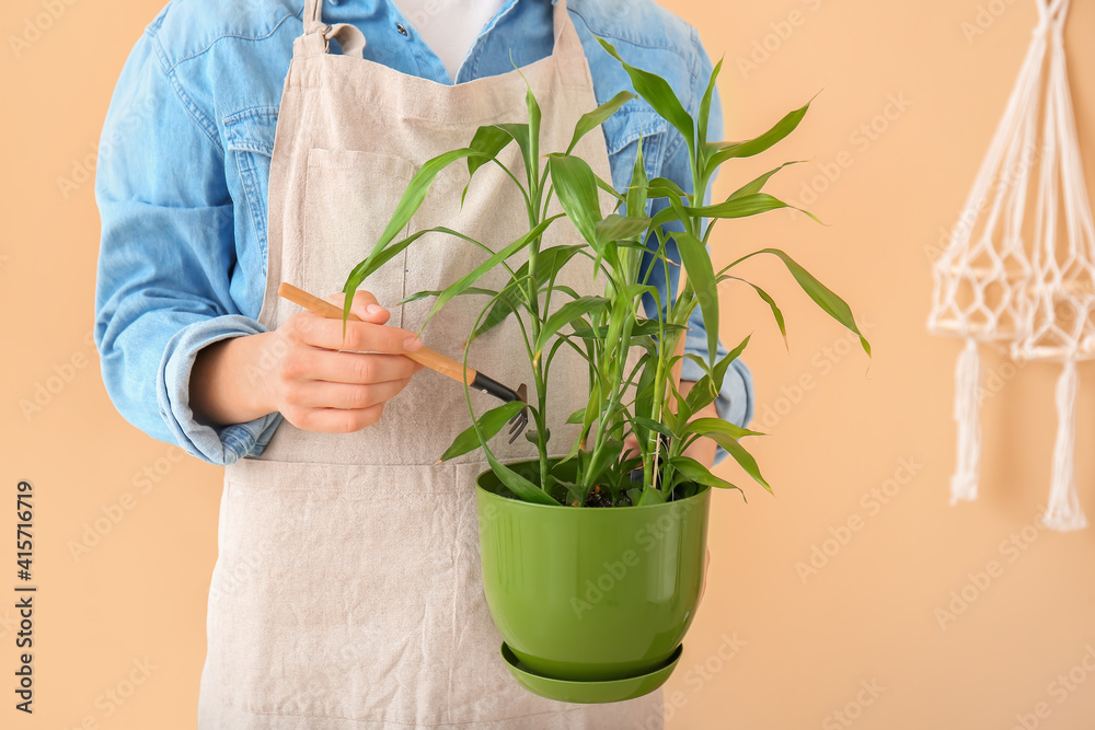 谷仓里有室内植物的女园丁