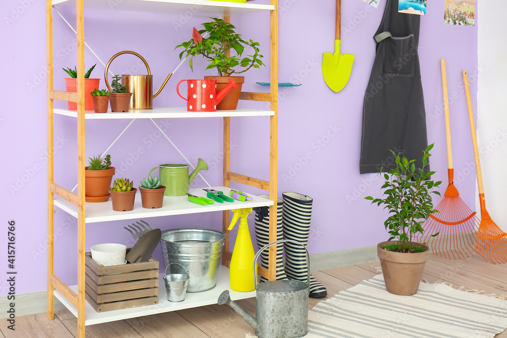 Set of gardening supplies and houseplants in barn