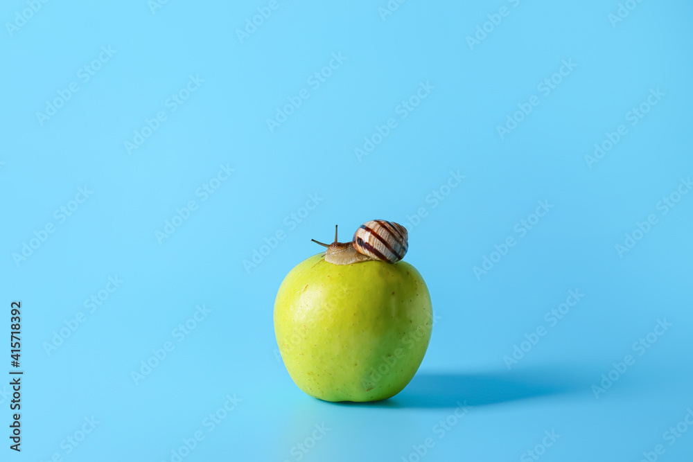 Snail and apple on color background