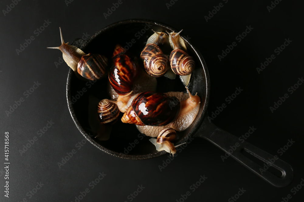 Frying pan with snails on dark background