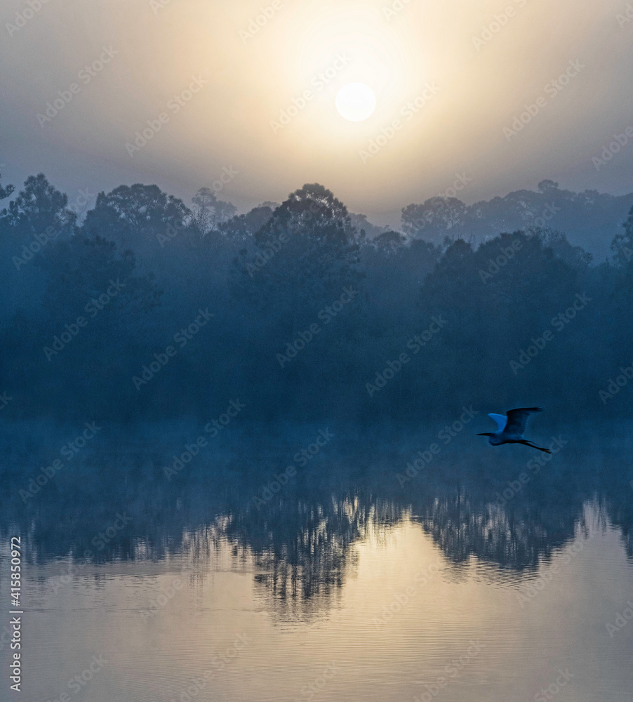 Blue Heron at sunrise