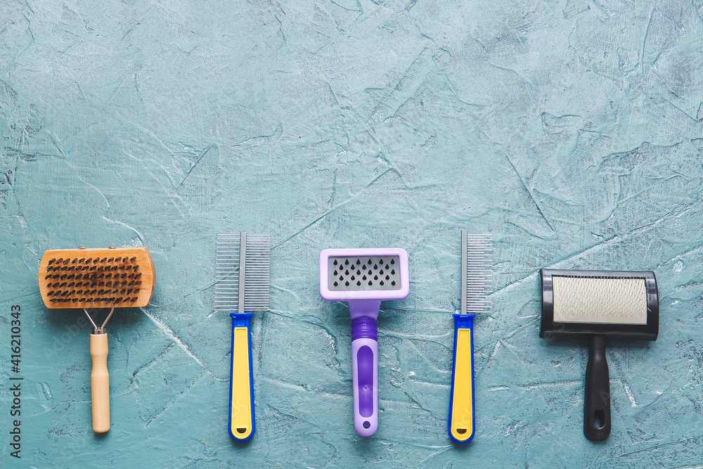 Different grooming brushes and combs for pet on color background