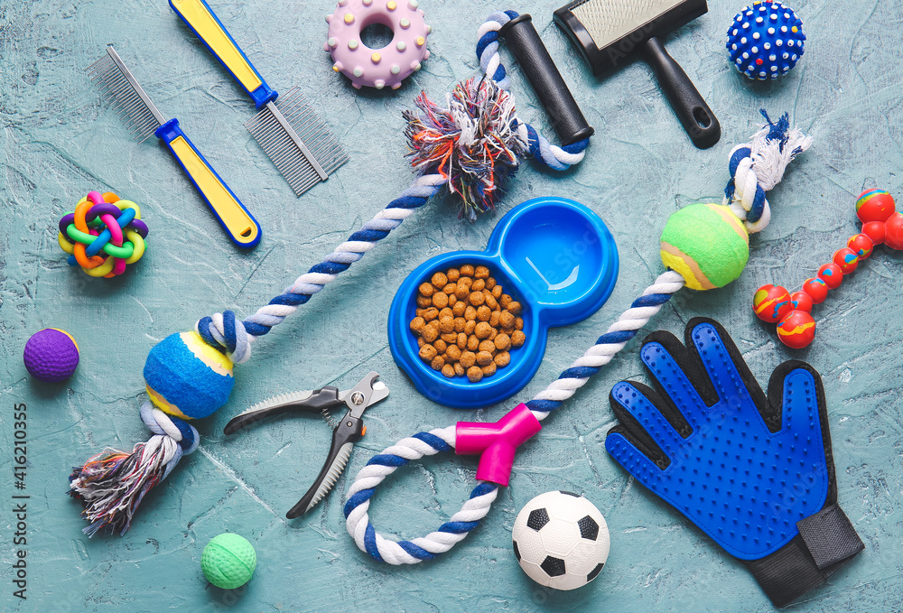 Different pet care accessories on color background