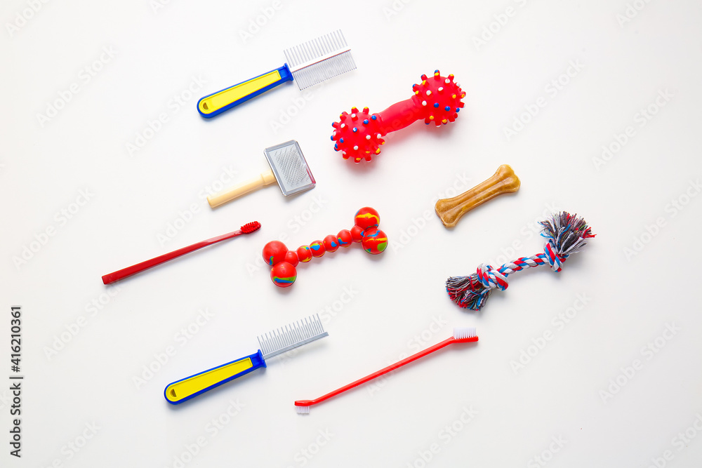 Different pet care accessories on white background