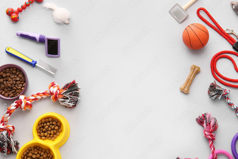 Different pet care accessories on light background