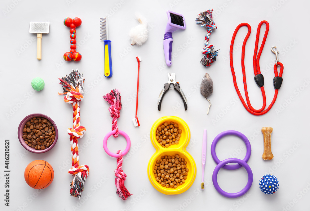 Different pet care accessories on light background