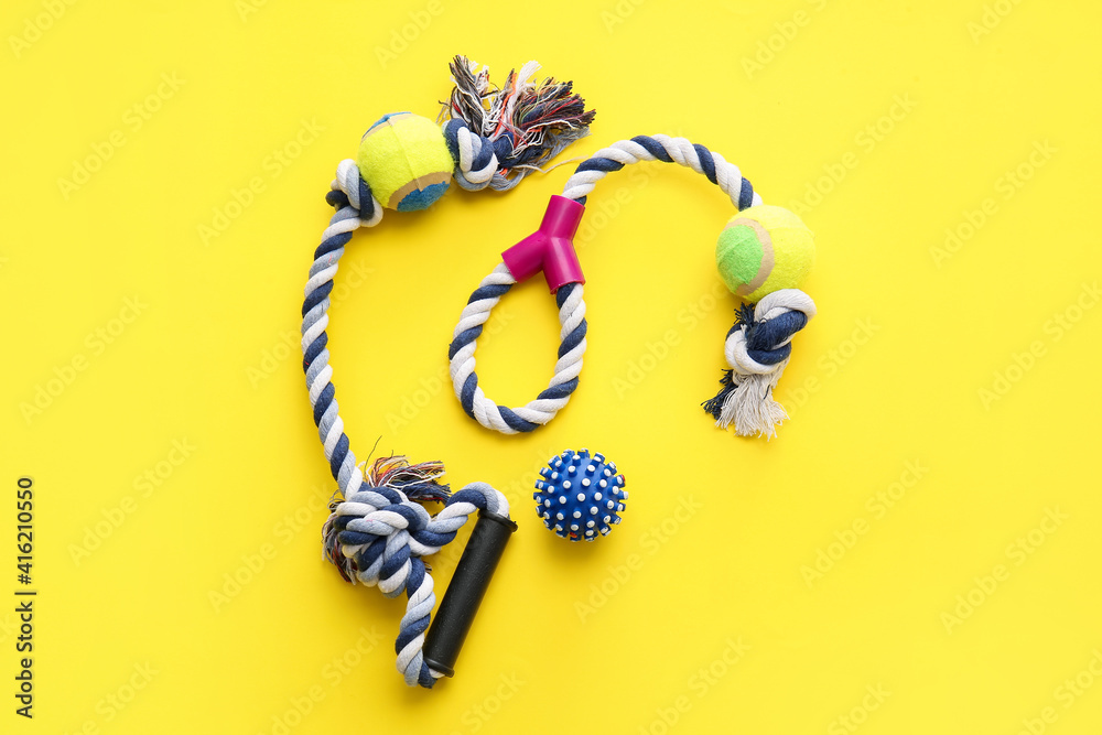 Different pet care accessories on color background