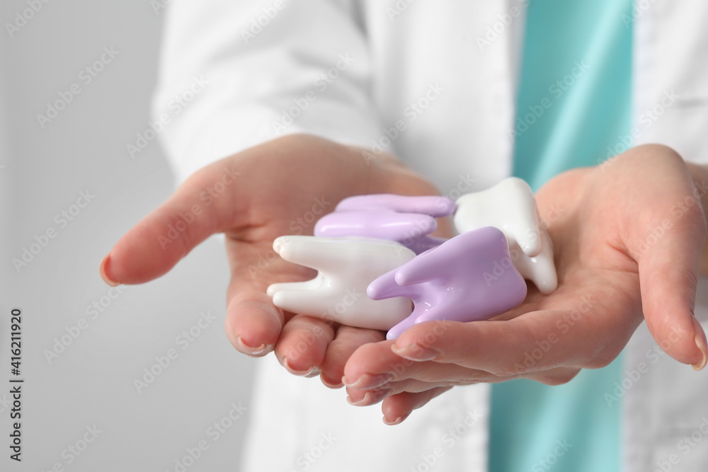 Female dentist with plastic teeth on light background, closeup