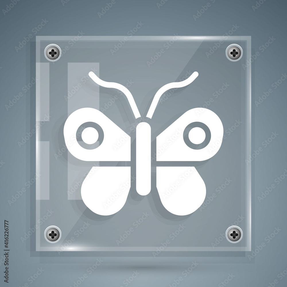 White Butterfly icon isolated on grey background. Square glass panels. Vector.