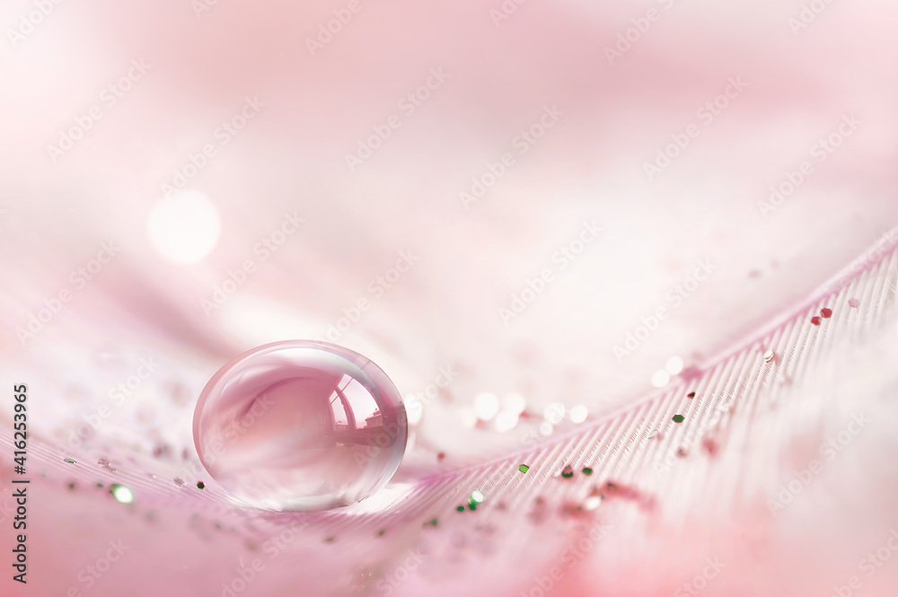 Transparent drop of water on pink feather  with sparkles and in rays of bright light close-up macro.