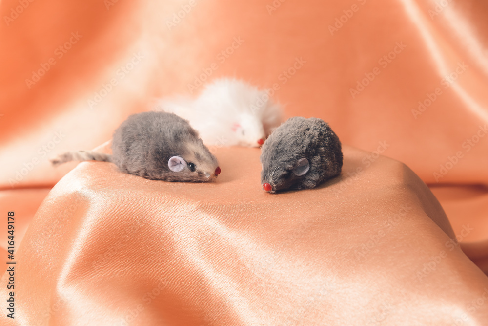 Toy mice for pet on fabric background