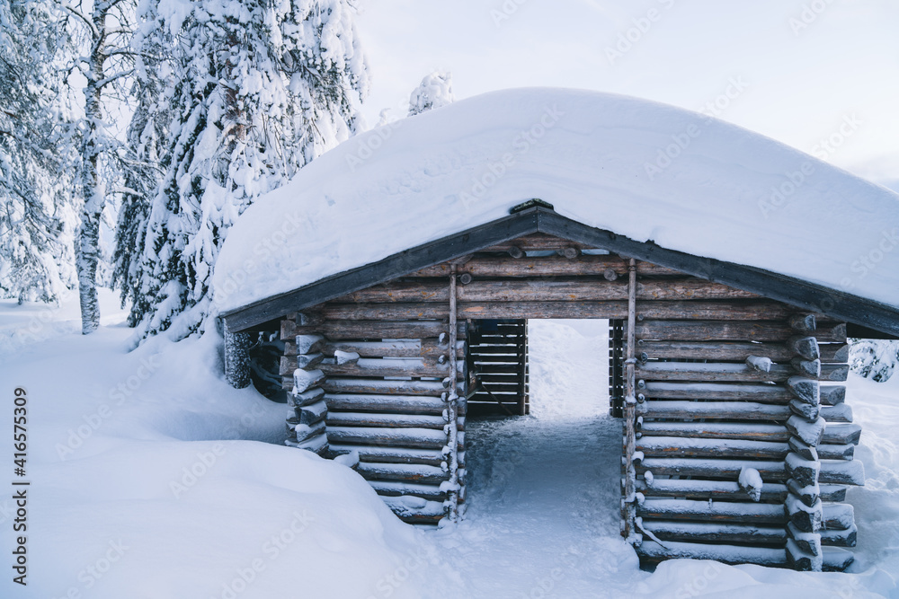 Spectacular view of the snow winter forest. Frosty winter landscape in snowy forest. Fabulous trees 