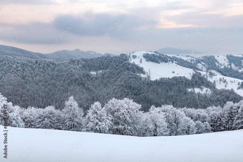 Amazing view of mountains range and snow-capped peaks in winter time. Forest with frost glowing with