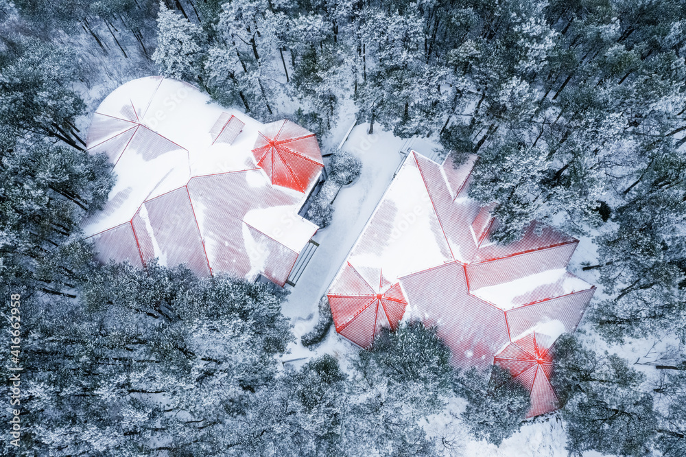  roof in a forest in winter