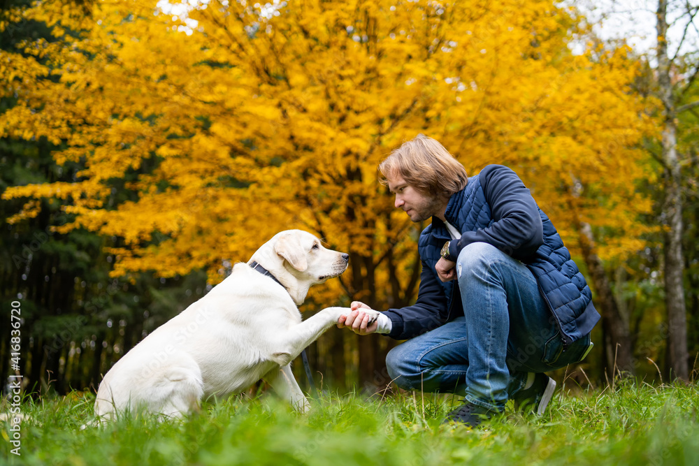 家犬寻回者送给主人五只。金秋树背景。长毛男子
1359828933,从Mirante的Rua Apanena山顶俯瞰巴西里约热内卢的Ipanema海滩和南区