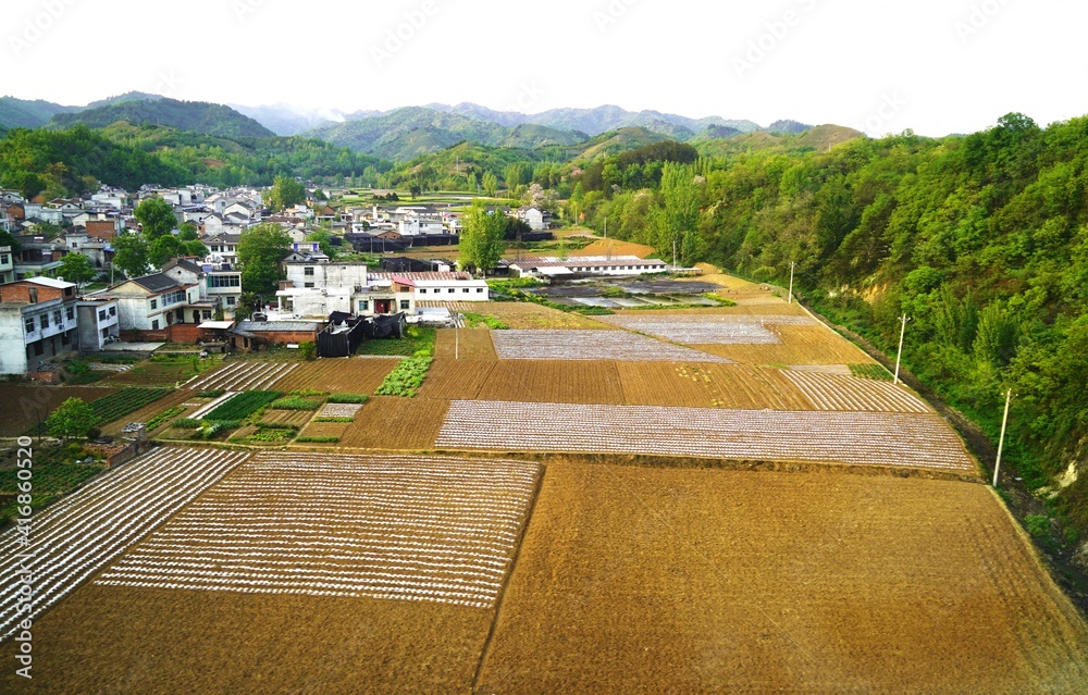 绿色山谷中的村庄和农田俯视图，美丽的乡村景观