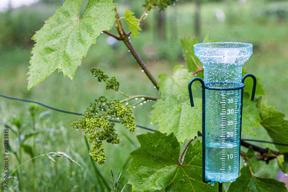 Meteorology with rain gauge in garden after the rain