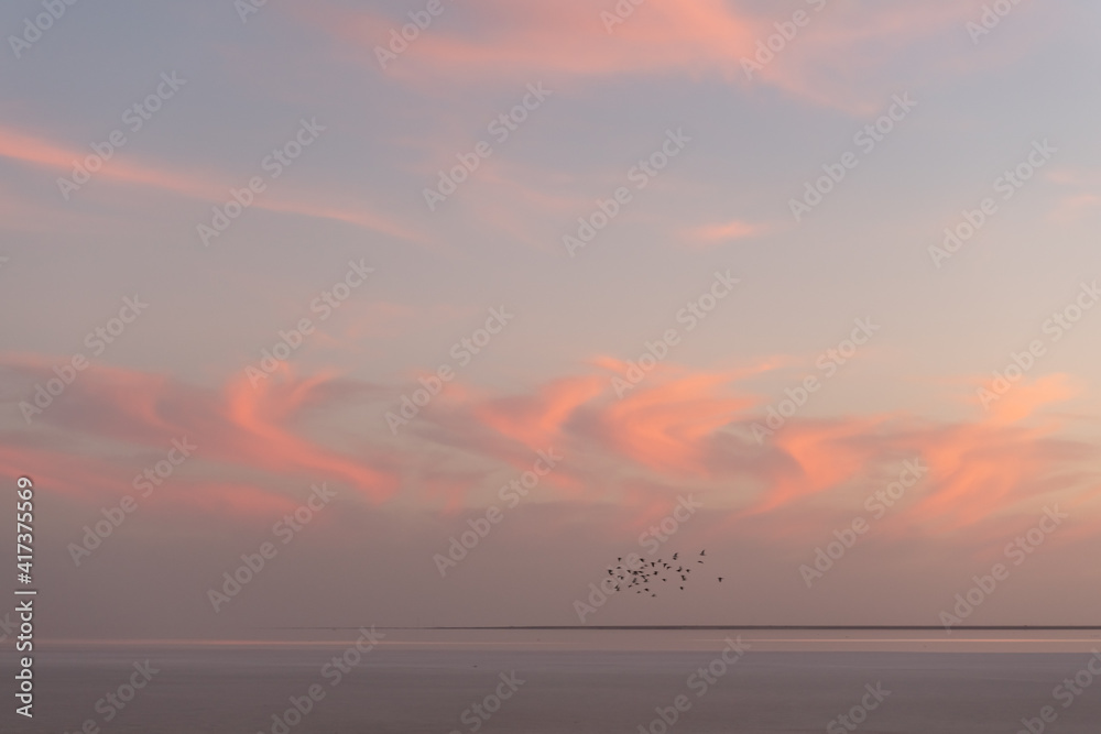 海上日落，红色发光的多云天空和成群的鸟。海洋日出背景。风景