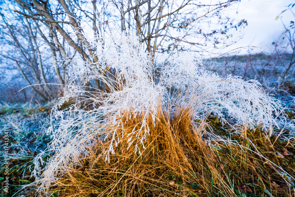 Frozen grass against the backdrop of a beautiful sky and fluffy fog