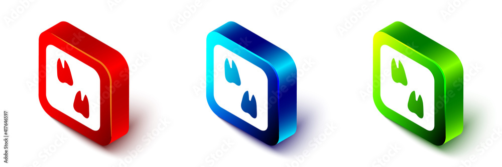 Isometric Camel paw footprint icon isolated on white background. Red, blue and green square button. 