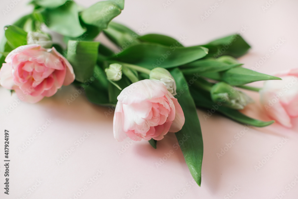 Bouquet of spring flowers of pink tulips on an ozovy background. A gift for a spring holiday for a w