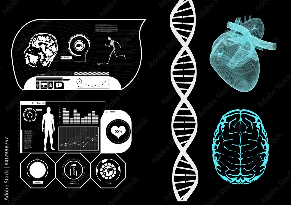 科学数据处理，黑色背景下人类心脏和大脑的dna链