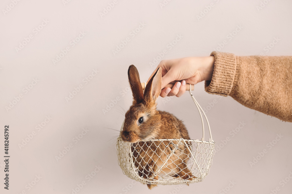 Hand holding basket with cute rabbit on light background