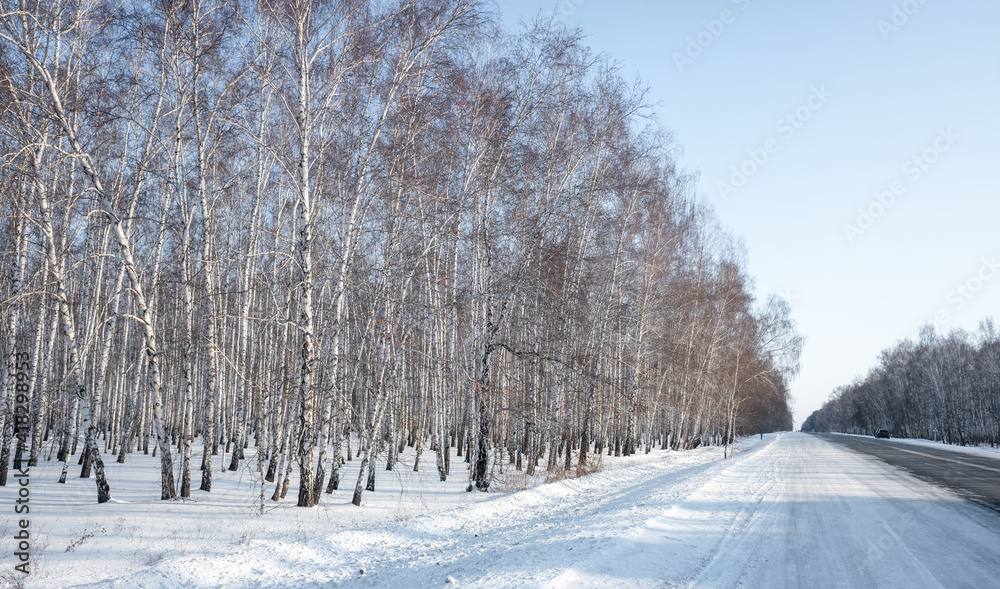 森林里的雪冬路