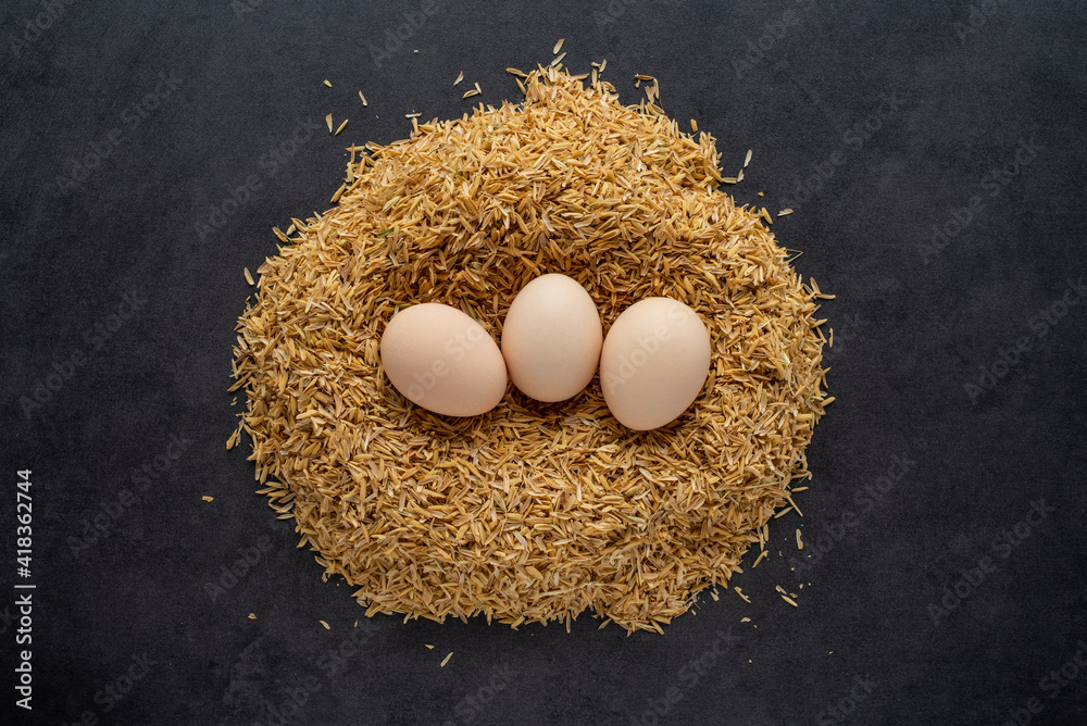 Eggs on chaff on black background