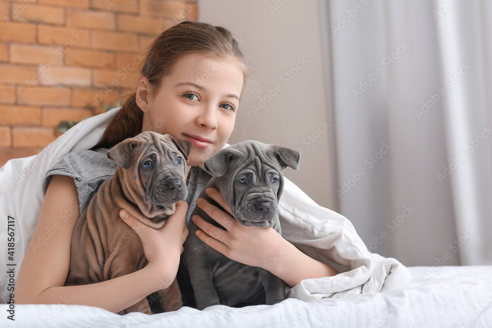 Cute girl with puppies at home