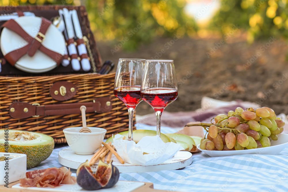 Tasty wine and snacks for romantic picnic in vineyard