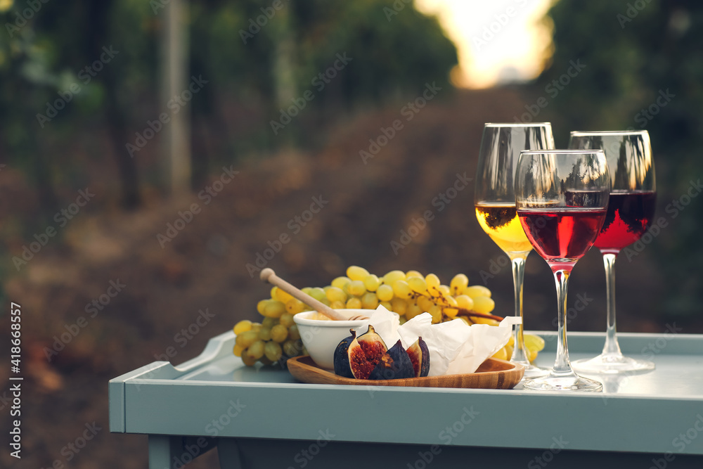 Glasses of tasty wine with snacks on table in vineyard