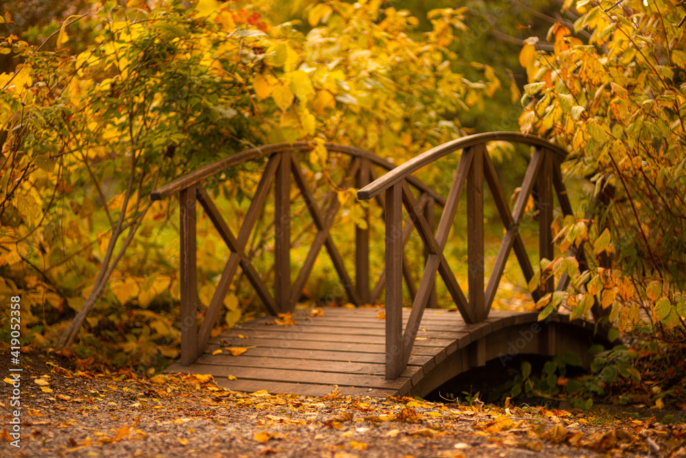 Beautiful autumn landscape with fallen dry leaves