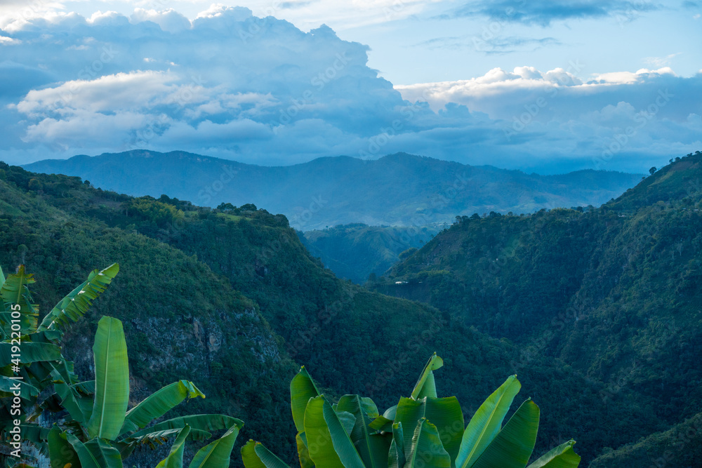 哥伦比亚高地、安第斯山脉、Tierradentro、哥伦比亚、南美洲的绿色景观