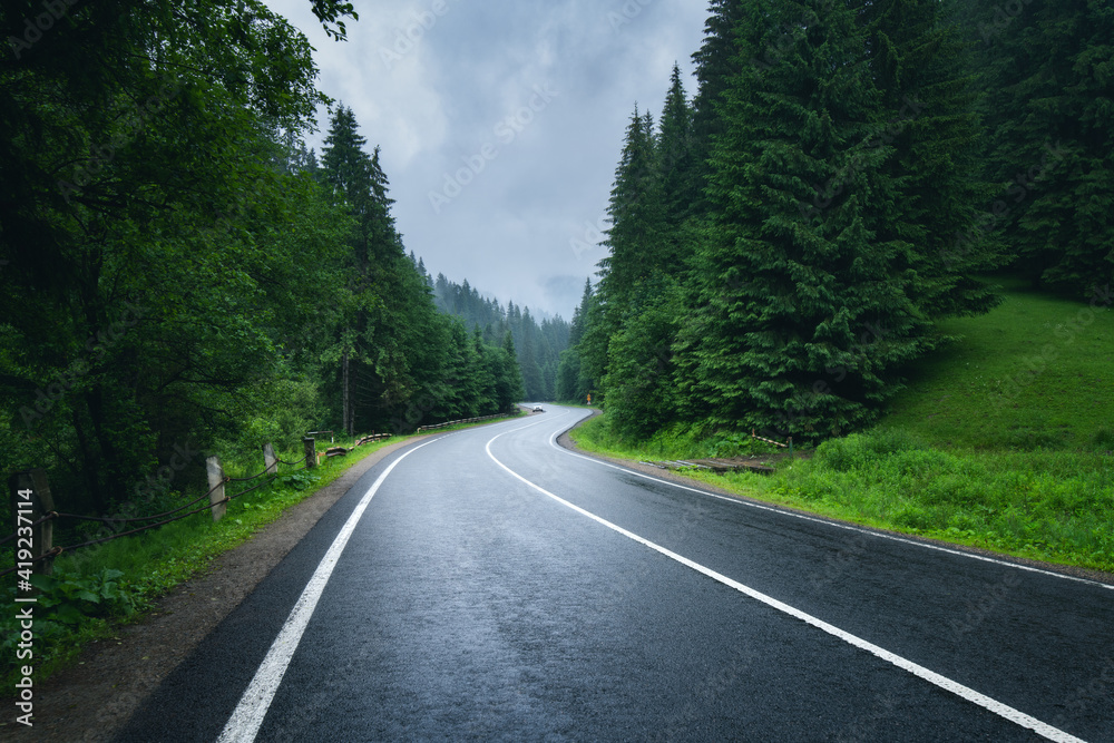 春天雨天雾蒙蒙的森林里的路。美丽的山路弯曲，绿树成荫