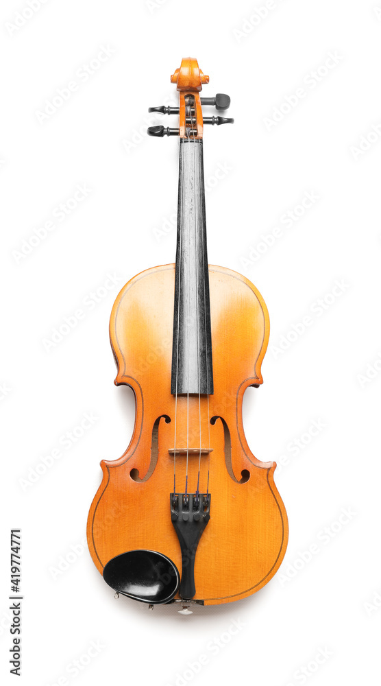 Beautiful violin on white background