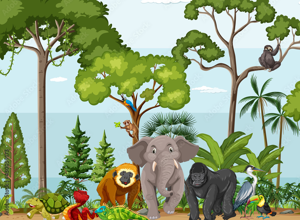 Rainforest scene with wild animals