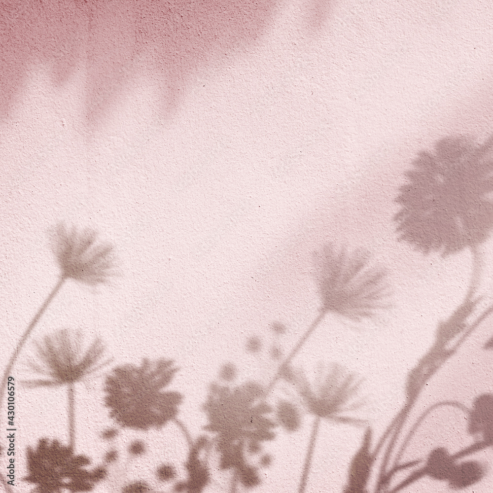 Pink background with floral field shadow