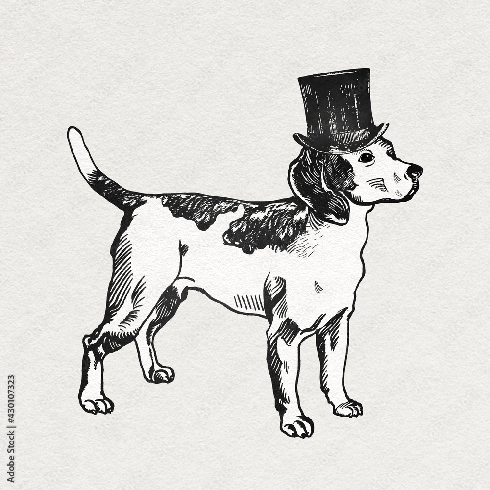 Vintage beagle dog graphic with top hat