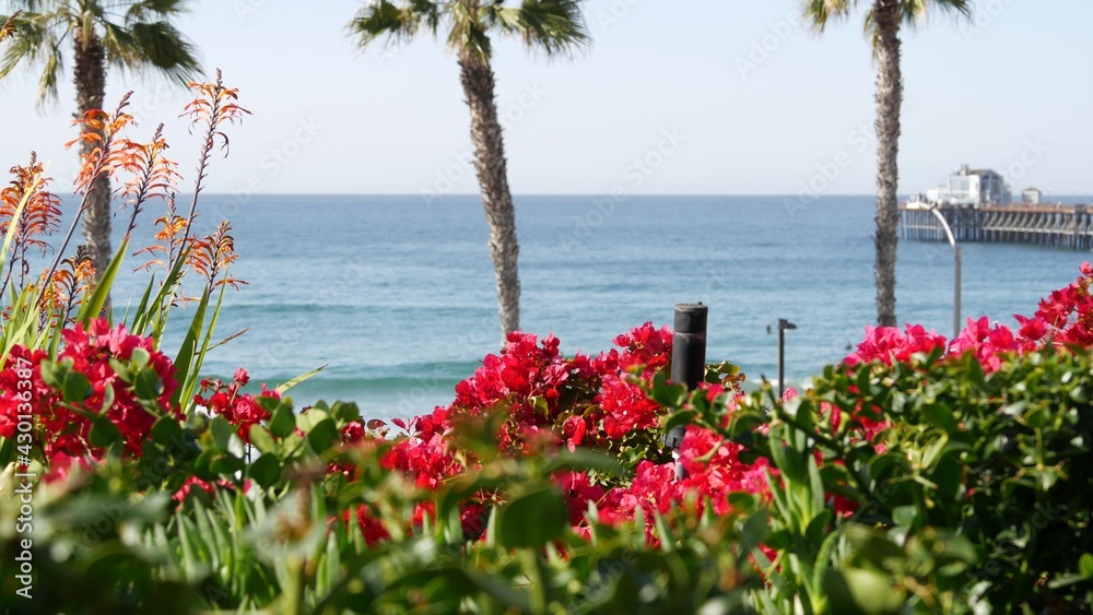 Pacific ocean beach, palm trees, flowers and pier. Sunny day, tropical waterfront resort. Oceanside 