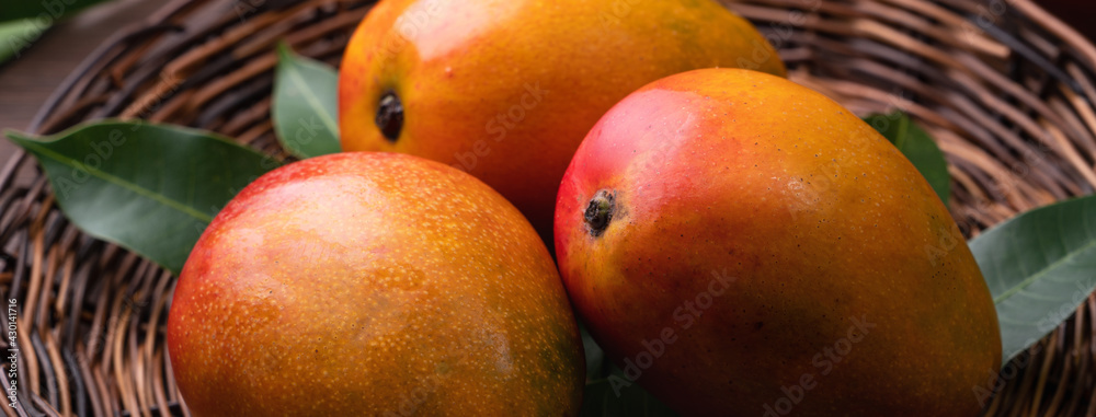 Mango. Fresh mango fruit on a bamboo sieve over dark wooden table background.