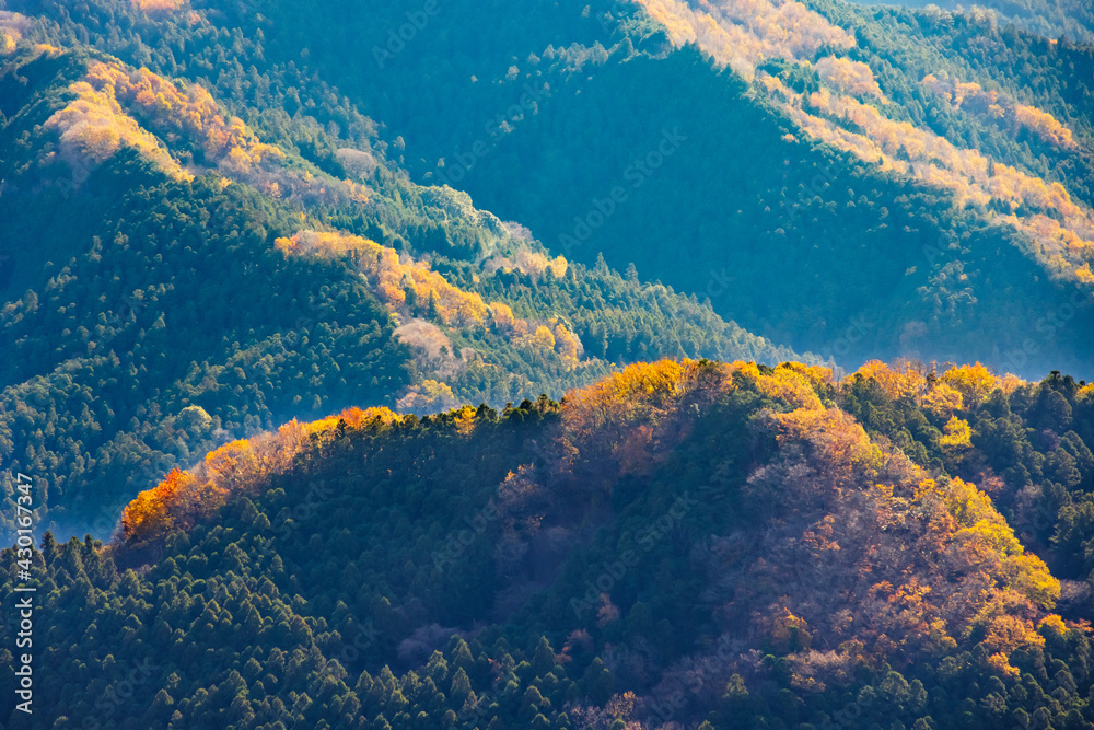 美しく紅葉した山