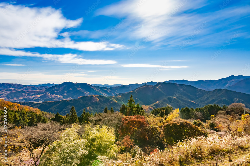 美しく紅葉した山