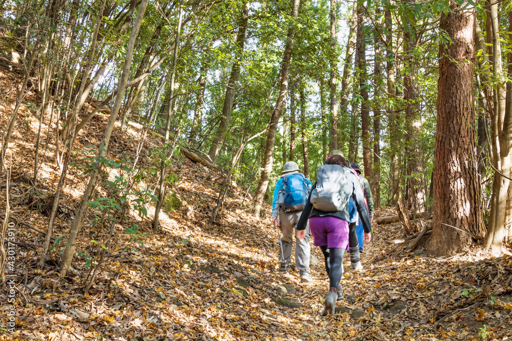 山奥の登山道とハイカー