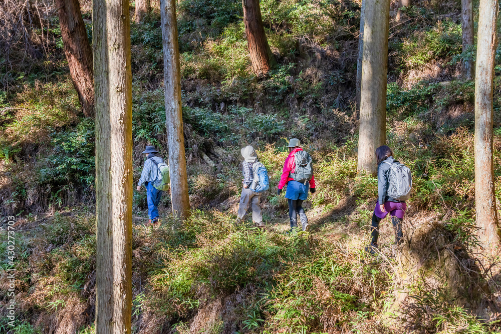 山奥の登山道とハイカー